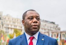 Approve purchase of stakes in Aker Energy, AGM oil blocks – Napo to Parliament