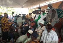 Yaa-Naa raises concern with Akufo-Addo over fertiliser shortage