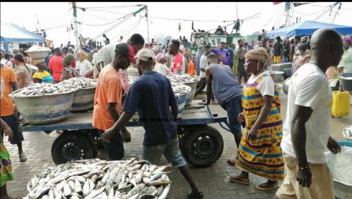 Closed fishing season4