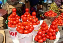 Asiedu Nketia urges tomato farmers to produce varieties that can be processed into paste
