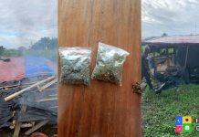 Two in police grip for peddling drugs at Assin Fosu