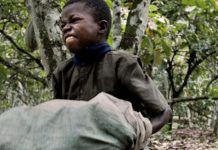 42% of children at New Edubiase into child labour – Report