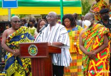Protecting the environment: Bawumia urges chiefs to partner government