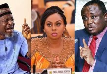 ‘We haven’t declared Adwoa Safo’s seat vacant’ – Minority trashes Joe Wise’s fictitious report