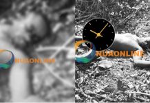 WN/R: Chief linguist allegedly shot dead by unknown person(s)