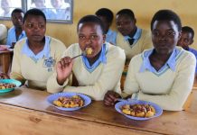 Policy under consideration for SHSs to do school farming to support food supply – Minister