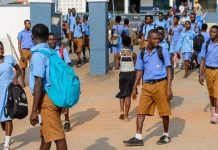 The road to success: Is schooling a scam?