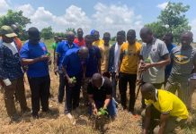 MAREDES, Knights of Marshall plant 1,000 plus trees at Saboba