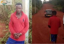 C/R: Dog barks to cause arrest of ECG cable thief