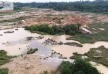 Galamsey at Kunsu: Sacrificing the cocoa farmer’s cash crop on the alter of illegal mining