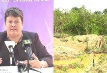 ‘The powers behind galamsey are the real ones responsible for the evils’ – US Ambassador to Ghana