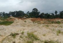 Tarkwa Nsuaem Assembly charges foreigners ₵100k to allow them do galamsey – Chief alleges