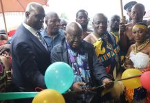 1D1F: Akufo-Addo commissions maize processing factory at Nsuta