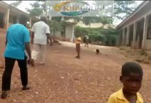 C/R: Headmaster bitten by snake whilst easing himself on a school farm