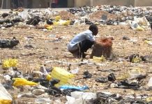 About 1.5 million Ghanaians engage in open defecation – Report