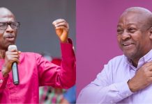 Asiedu Nketia foresees campaigning with Mahama ahead of NDC primaries