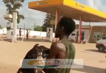 C/R: Goat stealing expert grabbed after 4 years on police wanted list
