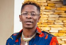‘Because of common Lamborghini, I lose a big investor for Shaxi’ – Shatta Wale on court document served by EOCO