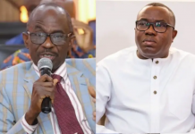 Mosquito stings Ofosu Ampofo to win NDC chairmanship race