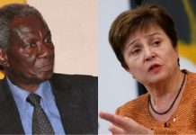 Ghana’s Debt Exchange Programme unlawful if initiative an IMF brainchild – Kwame Pianim