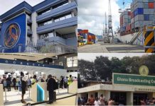 Four state institutions China might take over should Ghana fail to pay its debts – Captain Smart cautions