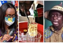 ‘Scrutinise alcoholic beverages well before granting them permit’ – FDA, GSA told