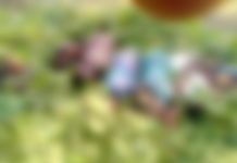 BREAKING: Capsised boat on Oti River kills 8