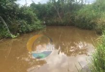 Twifo Praso: Residents lament pollution of Ɛntafrewaso stream by liquid waste from hospital