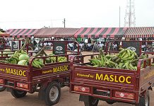 A/R: MASLOC disburses over GH₵23 million for businesses in 7 years