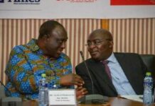 They ditched Alan for Bawumia to cover their tracks – NPP founding member
