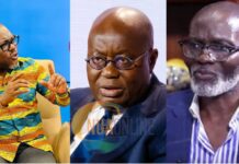 ‘Any stupid or foolish person can become a Prez’ – Prof. Gyampo feeds Akufo-Addo with what Gabby cooked on borrowing 8yrs ago