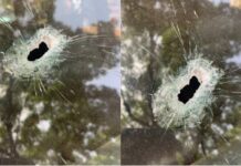 S/R: PRO of Gonjaland Youth Association narrowly escapes assassination