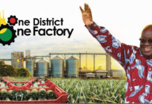 Mahama Ayariga announces plans to audit implementation of 1D1F policy