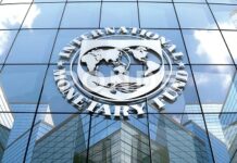 Ghana must break its repeated cycle of IMF dependence – Mary Addah