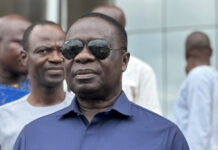 We should treat Dual Citizenship Amendment Bill as important – Gyakye Quayson