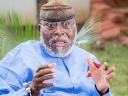 ‘There shouldn’t be selective justice in this allegation’ – Dr. Nyaho-Tamakloe demands transparency in power plant bribery scandal