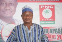 PNC opens nominations for flagbearer, executive positions