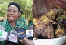 C/R – Awutu Bereku: Forestry Commission seizes bush meat from ‘chop bar’ operators over endangered species