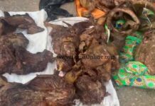 Accra: Hundreds troop to Forestry Commission to buy auctioned bush meat seized from chop bar operators