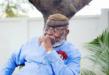 Coup in Ghana: The experience of Nunoo-Mensah, myself, give us a cause to worry – Nyaho-Tamakloe