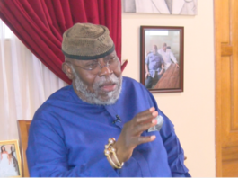 If NDC repeats Ofori-Atta’s naked stealing, they are finished – Nyaho-Tamakloe warns