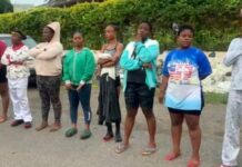 W/R: 31 persons, including 2 nursing mothers arrested for alleged involvement in prostitution, human trafficking