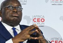 ‘You’ve cracked the bone and eaten the marrow’ – Kwame Jantuah to Akufo-Addo on state of economy