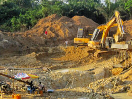 Fighting illegal mining needs something similar to 24-hour economy policy – WR Manager of Forestry Commission