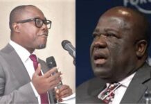 ‘…just be quiet and watch us fight for Ghana’s interest’ – Gyampo berates Sam Jonah for lauding Ghana’s lithium agreement