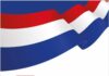 All 47 aspirants cleared for NPP national executives elections