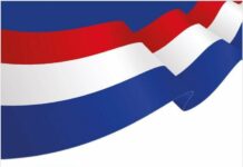 ‘NPP is now an empty shell – Former Director of Communications