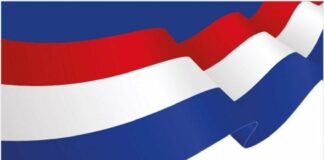 All 47 aspirants cleared for NPP national executives elections