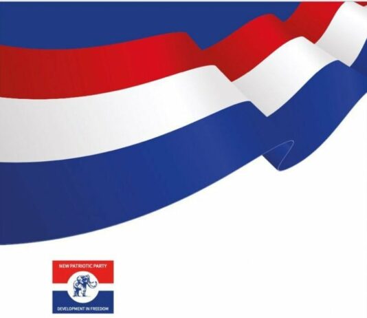 All 47 aspirants cleared for NPP national executives elections