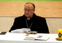 Senior Vatican official advocates for wives for Catholic priests